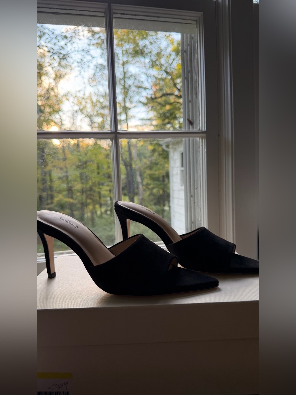 L'AGENCE Black Pointed-Toe High Heel Mules